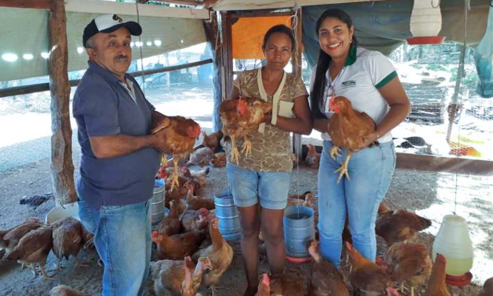 Governo do Tocantins e Anater beneficia produtores rurais com cerca de R$ 500 mil do projeto Inovação no Campo