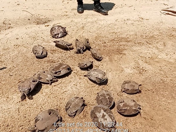 Naturatins aplica R$ 88,5 mil em multas durante patrulhamento