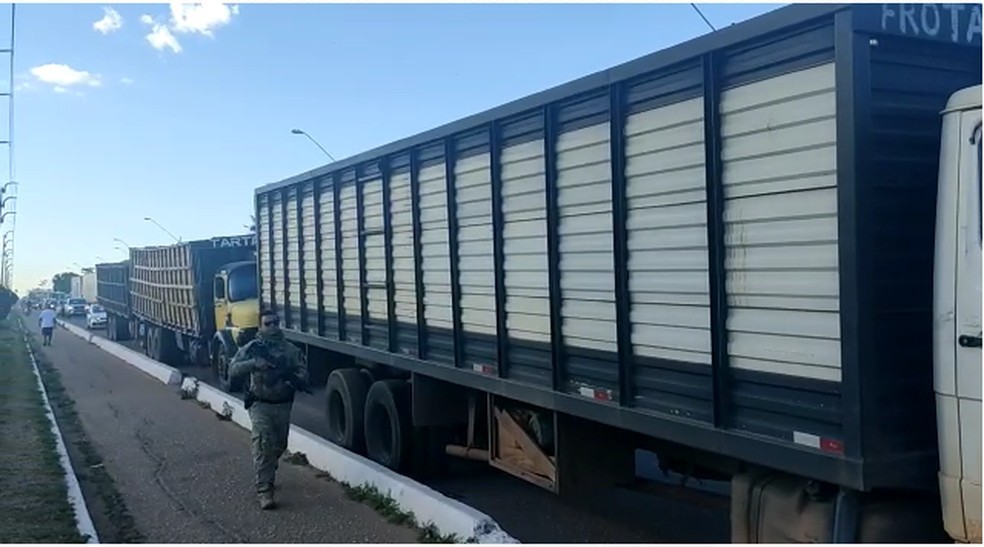 Quase 150 cabeças de gado que teriam sido furtadas por filho de fazendeiro, são recuperadas pela Policia Civil v