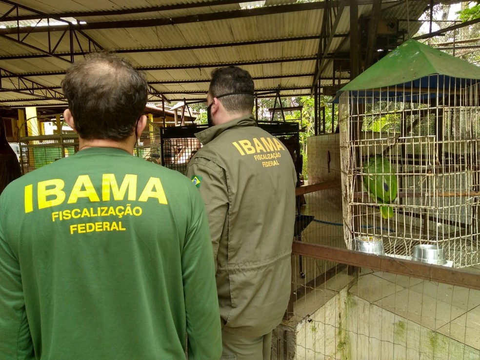 Ibama abre edital de concurso com 15 vagas para o Tocantins; salários podem chegar a R$ 8.547,64