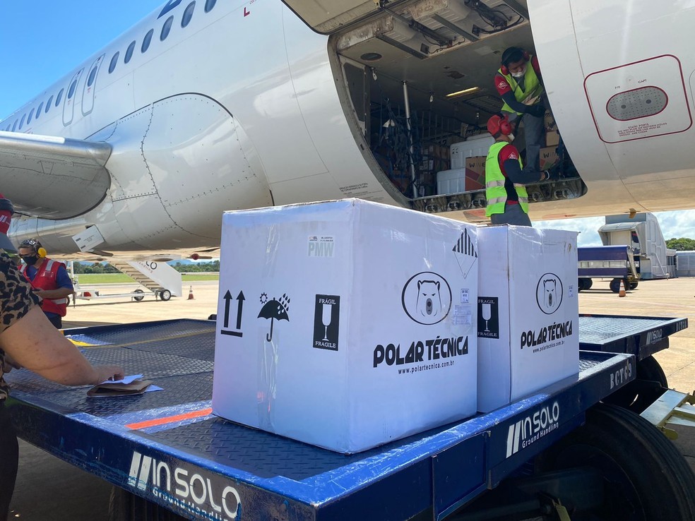 Primeiro lote de vacinas contra a Covid-19 para crianças chega a Palmas