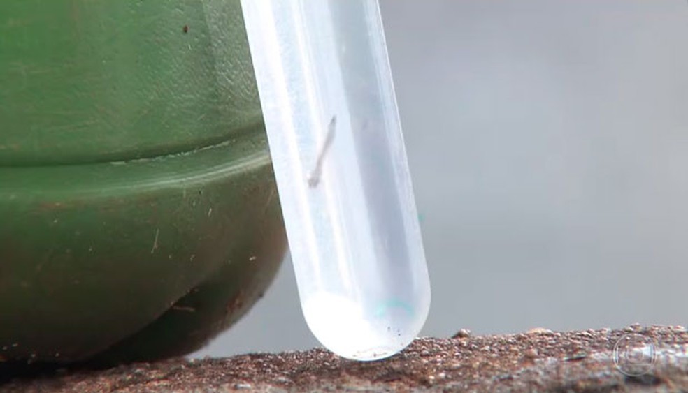 Fiocruz alerta para aumento da incidência de dengue no Tocantins