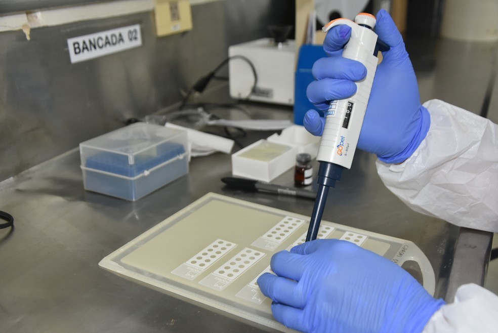 Casos da variante ômicron foram confirmados em Palmas, Araguaína, Gurupi e em mais 13 cidades do TO