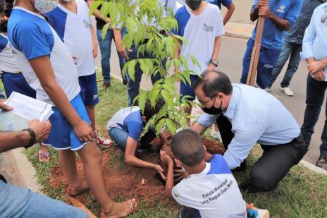 Plano de arborização urbana de Araguaína é iniciado no Jardim Vitória em Araguaína