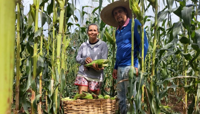 Governo do Tocantins facilita acesso ao crédito rural e injeta na economia dos municípios mais de R$ 23 milhões