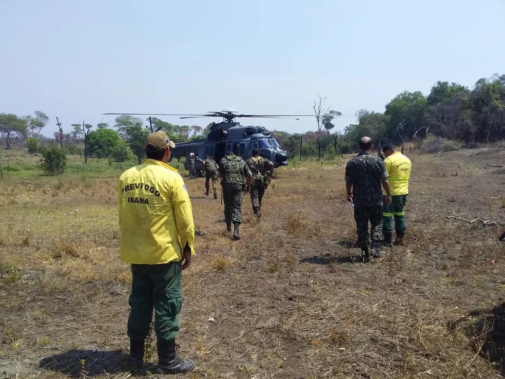 Ibama abre seleção para contratar brigadistas que vão atuar no combate a incêndios florestais no Tocantins