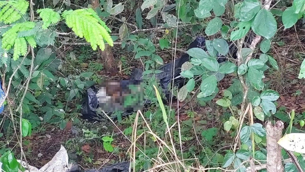 Ossada humana enrolada em lona é encontrada às margens da BR-153 em Araguaína