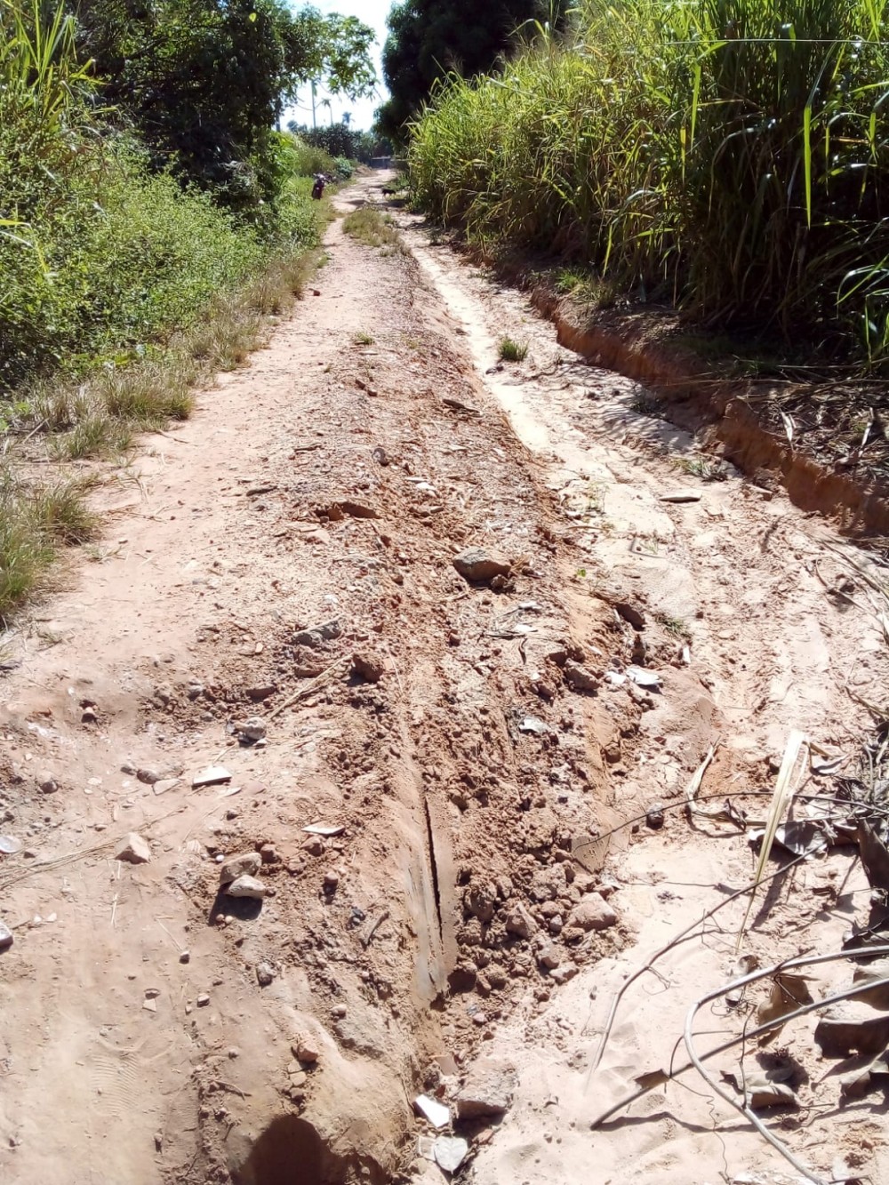 Em Augustinópolis – Vereador e populares cobram manutenção de ruas no povoado Itaúba