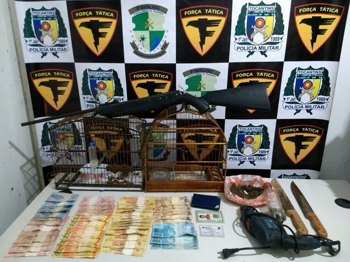 Acusados de envolvimento com tráfico e roubo de veículo são presos em Augustinopolis