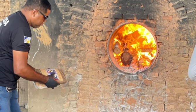 Polícia Civil do Tocantins promove a incineração de mais de meia tonelada de drogas em Araguaína