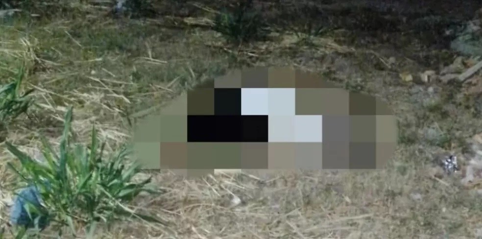 Mulher é morta a facadas, corpo foi encontrado em terreno baldio