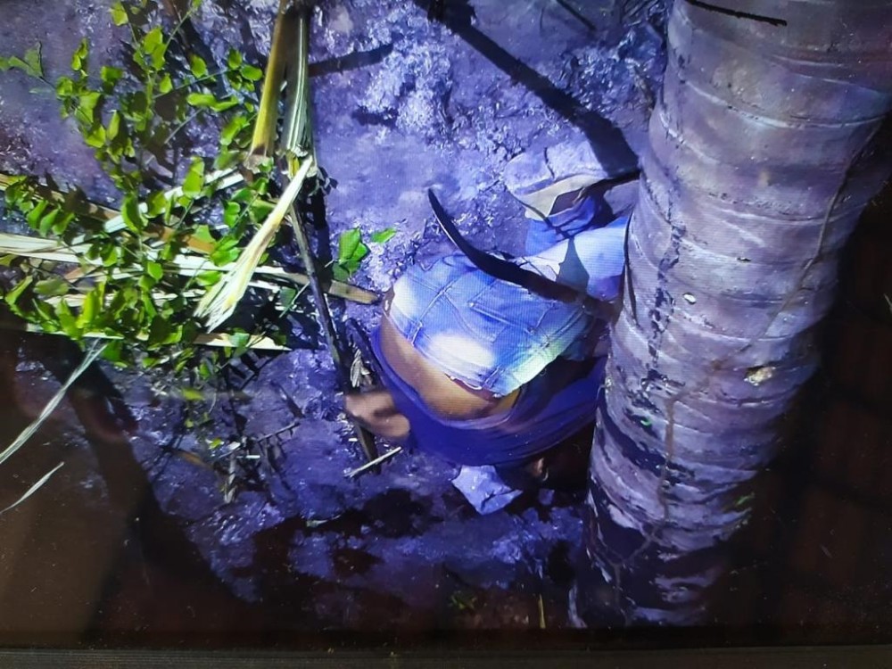 Augustinópolis - Homem de 41 anos morre vítima de acidente de trabalho na zona rural