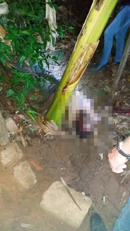 Axixá-Homem é morto supostamente a golpes de enxada, filha de 3 anos presenciou o fato