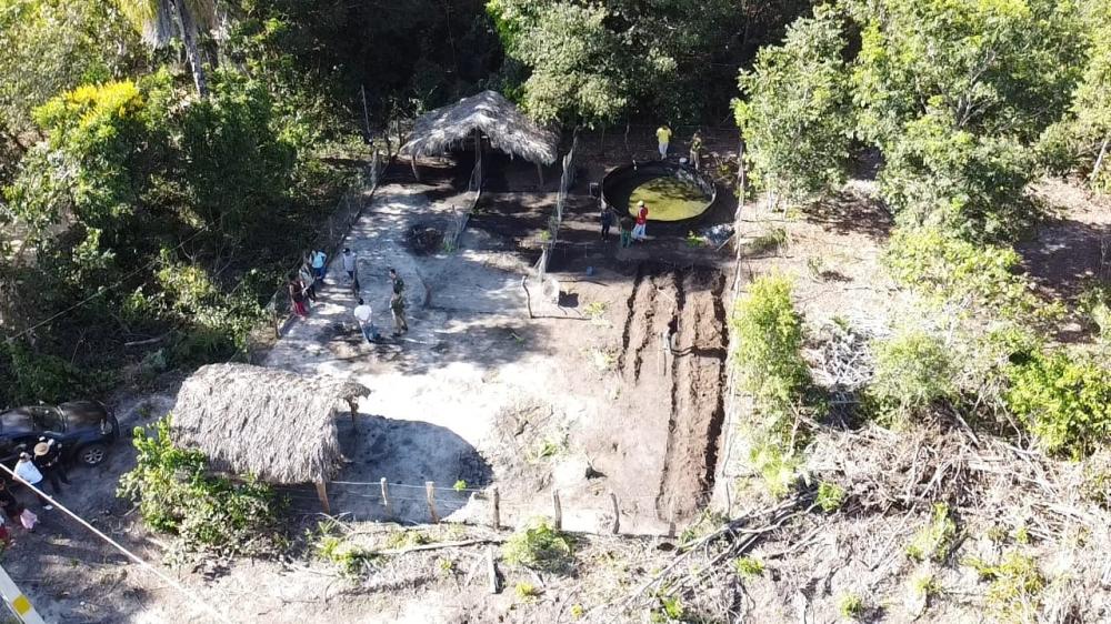 Dia do Agricultor: projeto 