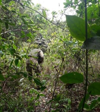 PM localiza quatro indivíduos suspeitos de roubo a carro forte em Pequizeiro