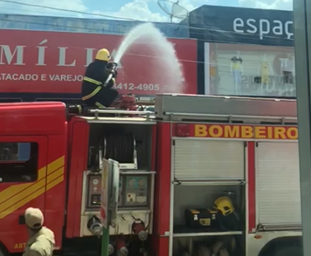 Gato' na rede elétrica, provoca curto em lojas e mobiliza bombeiros