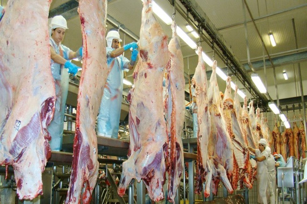Tocantins tem aumento acima de 40% nas exportações de carne bovina