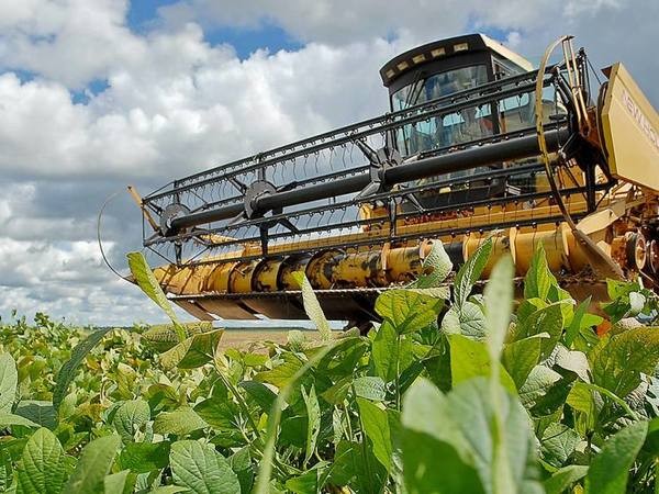 Governo realiza regularização fundiária e revitaliza projetos de fruticultura no Tocantins